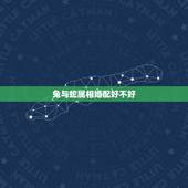 兔与蛇属相婚配好不好，兔和蛇配吗