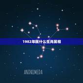1982年属什么生肖属相，1982年属什么生肖多大