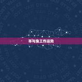 羊与兔工作运势，羊和兔相配2o16运势