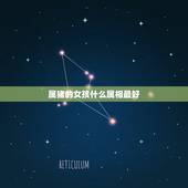 属猪的女孩什么属相最好，属猪的女孩和什么属相最配