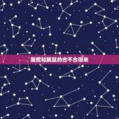 属蛇和属鼠的合不合得来，属蛇人一辈子的克星