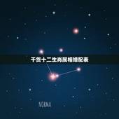 干货十二生肖属相婚配表，属鼠最佳婚配属相