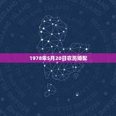 1978年5月20日农历婚配，1978年男人农历九月初十生的婚配