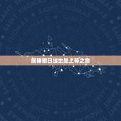 属猪哪日出生是上等之命，生肖猪女最怕生几月