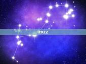 2022 年下半年丁火发财，唯一帮丙火的只有壬水