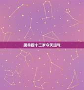 属羊四十二岁今天运气，79年属羊42岁有个劫
