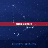 摩羯座运势2022，摩羯座2021年运势
