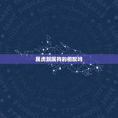 属虎跟属狗的相配吗，属虎的跟属狗的合吗