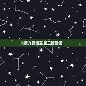 第九宫海王星二婚配偶，谁能帮我解读一下星盘，星盘中第七宫为海王星落在摩
