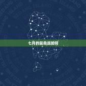 七月的鼠命运如何，属鼠的七月七生好不好