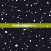 杀破狼星座运势2022，杀破狼星座的运势 六月第二周的谁有