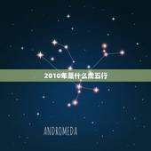 2010年是什么虎五行，2022 年是什么命五行