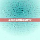 属马女与属鸡男的婚配好不好，属马女和属鸡男合婚吗？