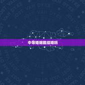 中等婚姻能结婚吗，什么加上等婚姻，中等婚姻和下等婚姻