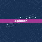 属虎都哪年生人，属虎的是哪年出生的