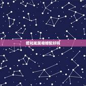 蛇和龙属相婚配好吗，属蛇和属龙相配吗？