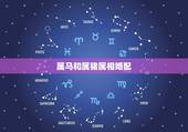 属马和属猪属相婚配，十二生肖配对男属马，女属猪配吗可以结婚吗