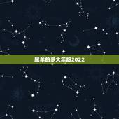 属羊的多大年龄2022，属羊最旺财的年龄段2022年