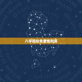 八字四柱免费查财库，生辰八字怎么查财库