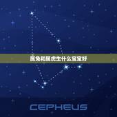 属兔和属虎生什么宝宝好，虎兔两生肖生什么宝宝好