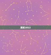 属蛇2022 年虚岁多大，1990年虚岁是多少2022
