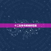 十二生肖与婚姻的匹配，十二生肖更佳配对表格
