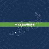 88年龙最佳婚配属相，88年属龙的和什么属相的比较配啊？