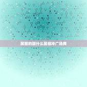 属猴的跟什么属相冲广场舞，属猴和什么生肖相冲