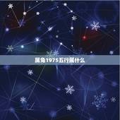 属兔1975五行属什么，什么命1999年属兔的是什么命