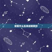 蛇配什么生肖结婚更好，蛇和什么生肖最配