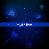 十二生肖图片表，怎么画十二生肖的图片