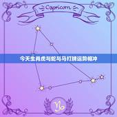 今天生肖虎与蛇与马打牌运势相冲，属马和属蛇相冲吗？