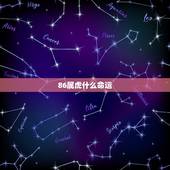 86属虎什么命运，86属虎一生几次财运