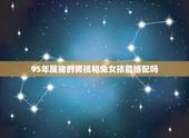 95年属猪的男孩和兔女孩能婚配吗，1995年属猪和什么属相最好
