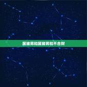 属猪男和属猪男和不合财，属鼠和属虎的合不合才