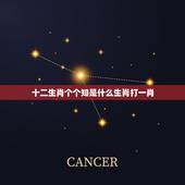 十二生肖个个知是什么生肖打一肖，个个知的动物