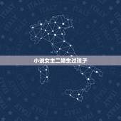 小说女主二婚生过孩子，有没有女主带着儿子生活的小说，不结婚，我比较讨厌