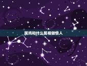 属鸡和什么属相做情人，男的属龙，女的属鸡可以做情人