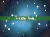 63年属兔11月命运，1987年属兔人的命运