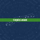 今年属羊人的运势，79属羊未来20年大运