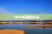1984年属鼠命运，1984年属鼠女人命