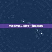 生肖鸡生肖马适合生什么属相宝宝，生肖龙和鸡适合要什么属相的孩子