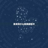 属龙和什么属相最配对，属猪和什么属相最配对