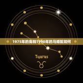 1975年的兔和1990年的马婚配如何，1975年的兔（男）和1990
