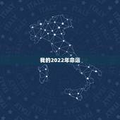 我的2022年命运，2022 年本命年属鼠的运相