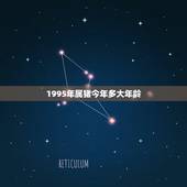 1995年属猪今年多大年龄，属猴的年龄表