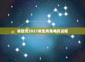 宋韶光2021年生肖兔每月运程，宋韶光2017年属猴人运程