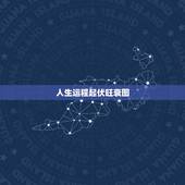 人生运程起伏旺衰图，免费查八字五行旺衰
