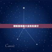 婚配属相表大全姓名缘分，属相婚配