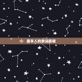 属羊人的幸运属相，属羊的人带什么色物旺
